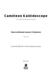 Caméléon Kaléidoscope image